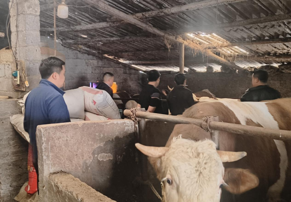 微信图片_2026-04-23_172526_771